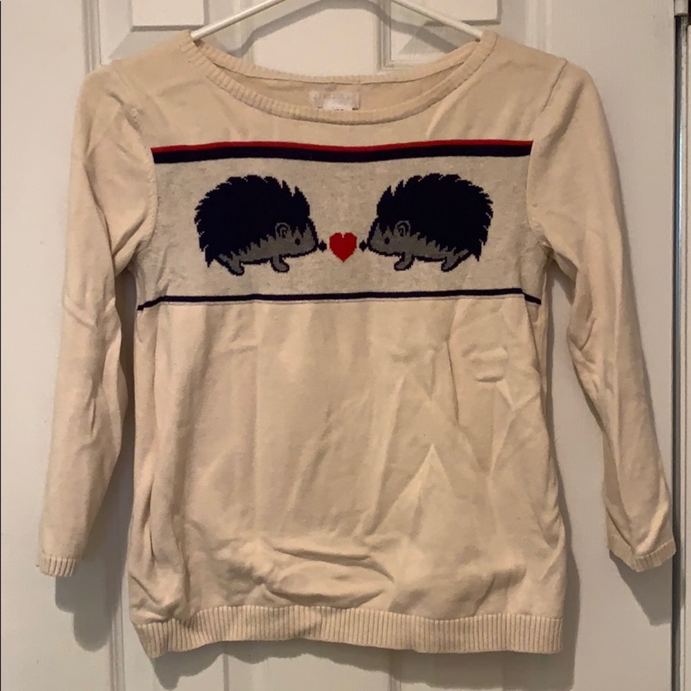 Cute hedgehog animal sweater